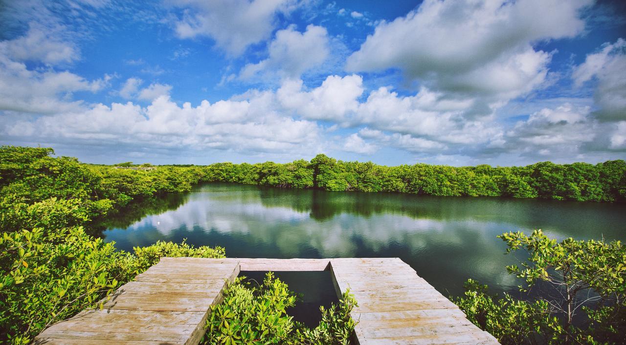 Nativus Glamping & Cenote Tulum Hotel Exterior photo