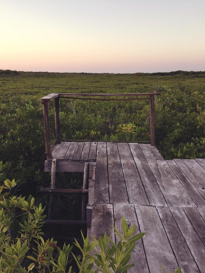 Nativus Glamping & Cenote Tulum Hotel Exterior photo