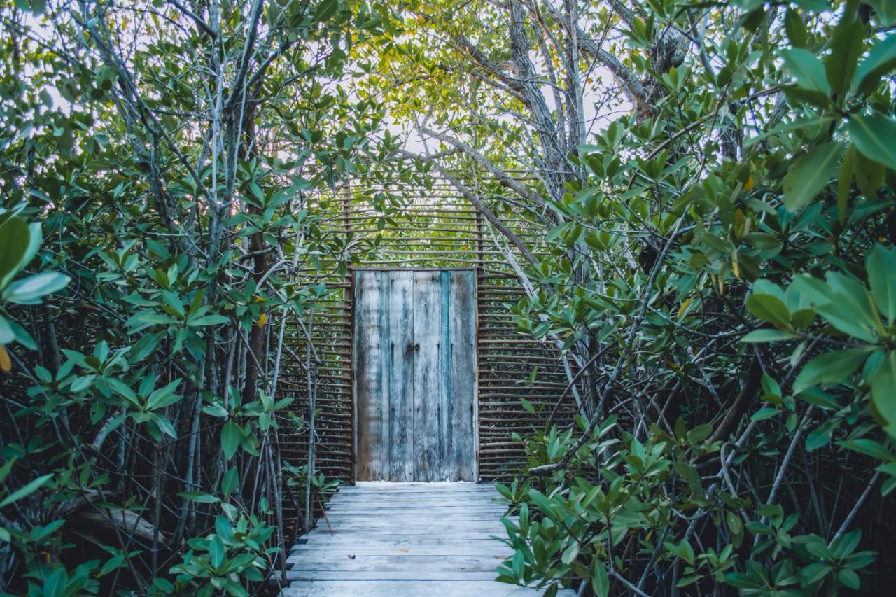 Nativus Glamping & Cenote Tulum Hotel Exterior photo